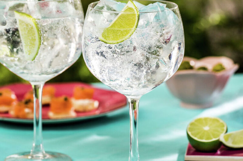 The Ultimate Gin and Tonic